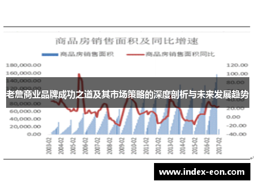 老詹商业品牌成功之道及其市场策略的深度剖析与未来发展趋势