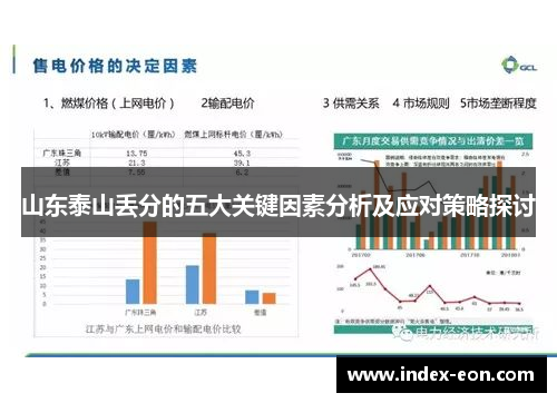 山东泰山丢分的五大关键因素分析及应对策略探讨