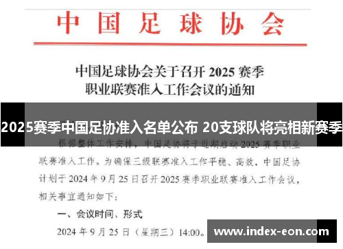 2025赛季中国足协准入名单公布 20支球队将亮相新赛季