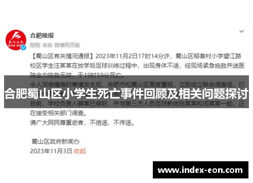 合肥蜀山区小学生死亡事件回顾及相关问题探讨