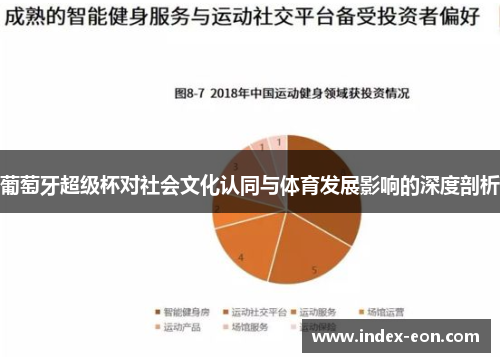 葡萄牙超级杯对社会文化认同与体育发展影响的深度剖析
