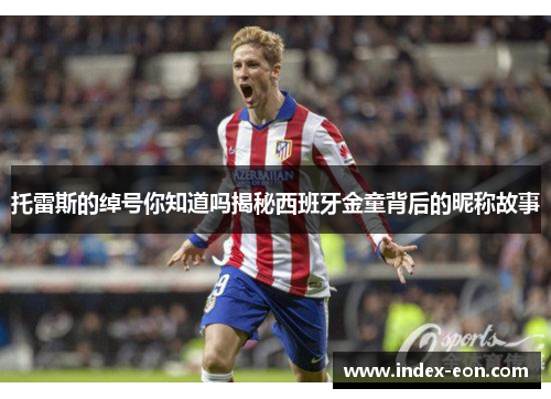 托雷斯的绰号你知道吗揭秘西班牙金童背后的昵称故事