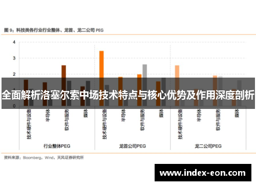 全面解析洛塞尔索中场技术特点与核心优势及作用深度剖析