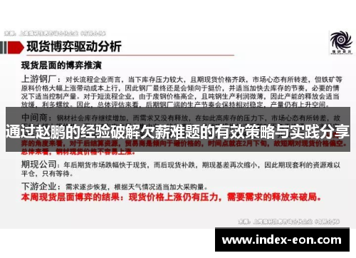 通过赵鹏的经验破解欠薪难题的有效策略与实践分享