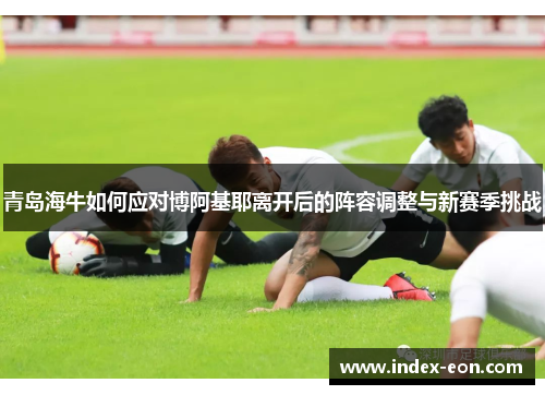 青岛海牛如何应对博阿基耶离开后的阵容调整与新赛季挑战