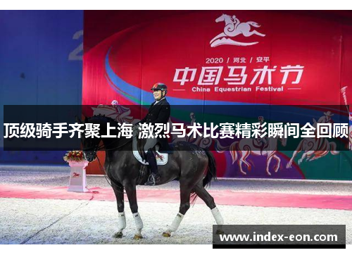 顶级骑手齐聚上海 激烈马术比赛精彩瞬间全回顾