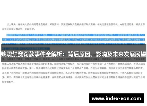 魏震禁赛罚款事件全解析：背后原因、影响及未来发展展望